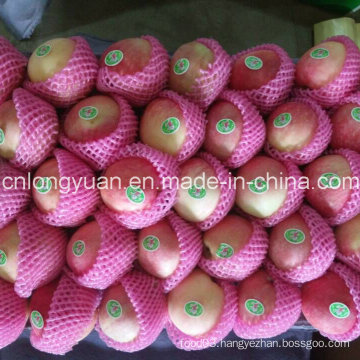 2016 New Fresh Red Star Apple with Good Quality